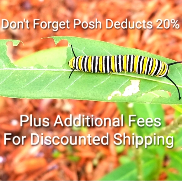 Less 20%, Less Ship Fees - Picture 2 of 2